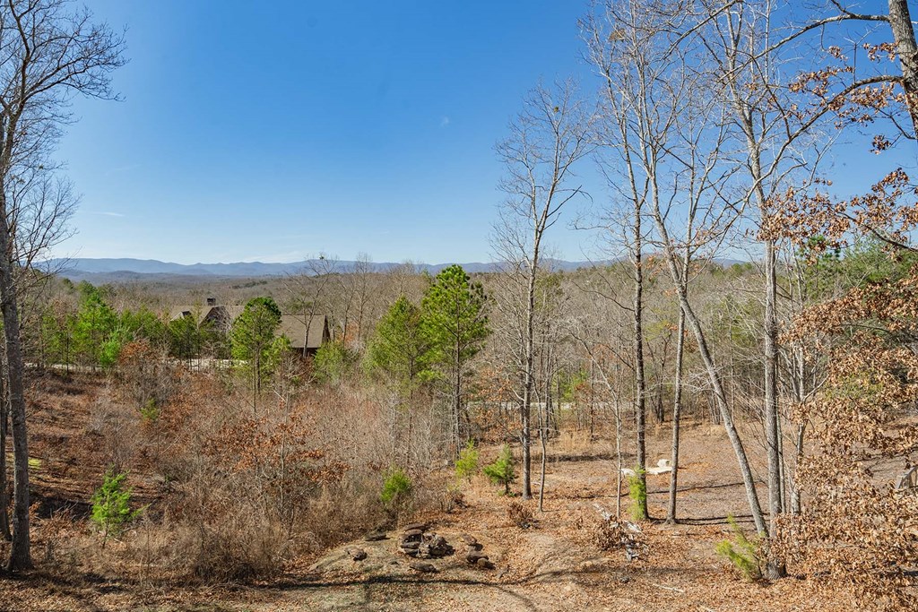 415243 Mineral Bluff Residential