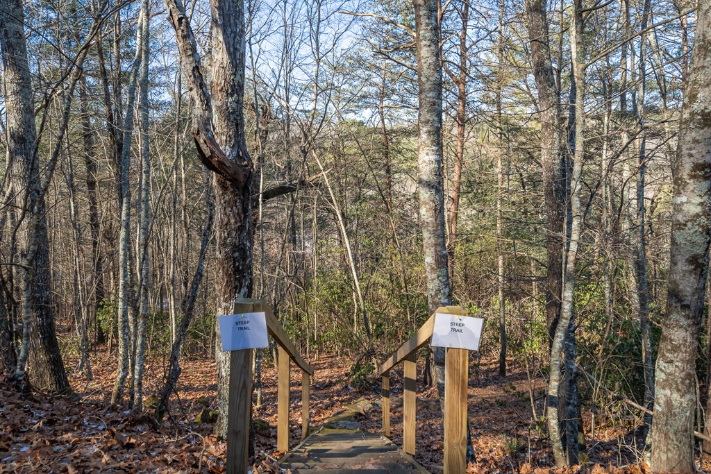 415263 Blue Ridge Residential
