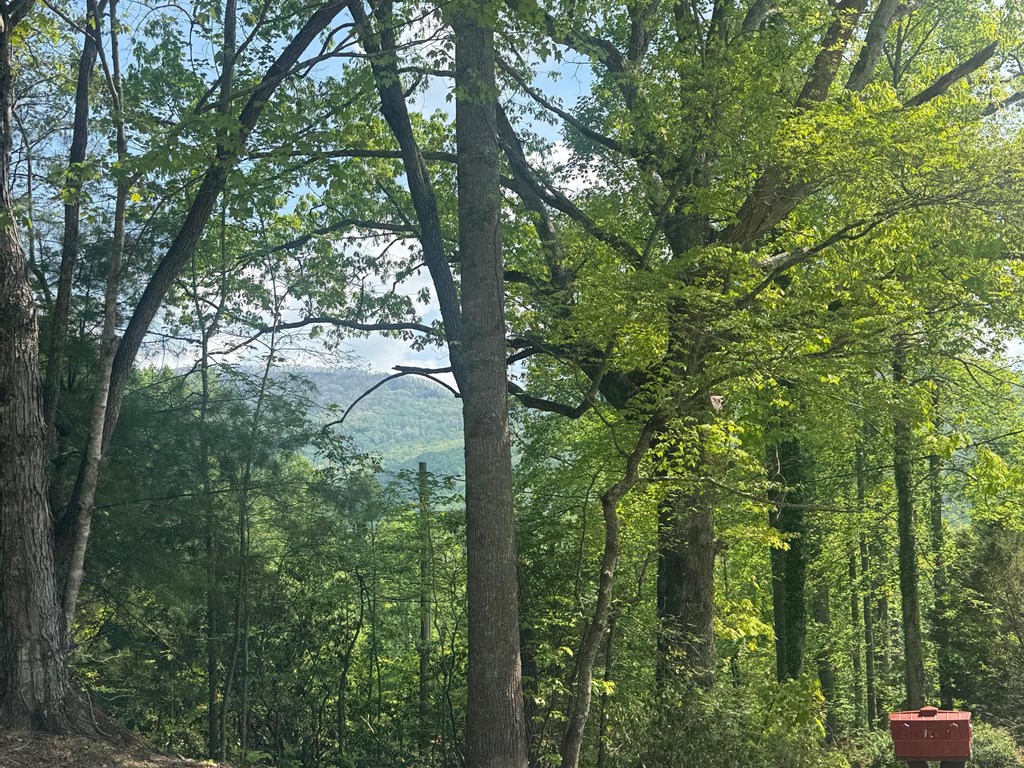 415271 Hiawassee Residential