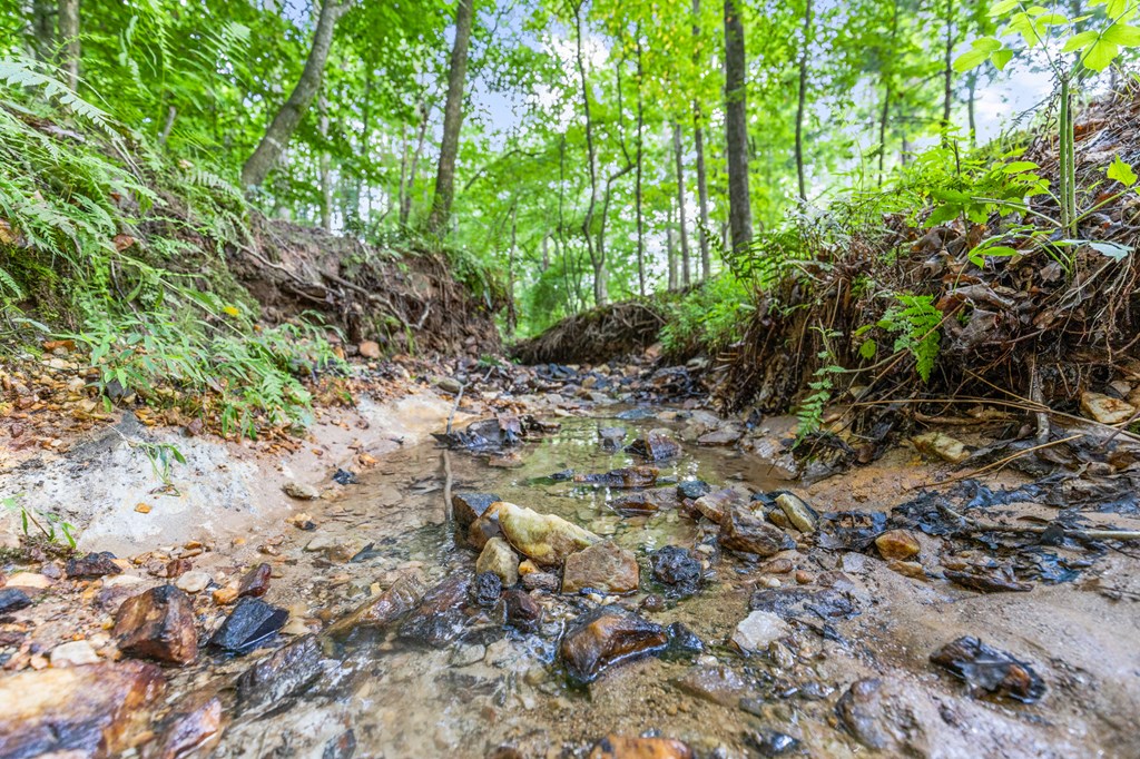 415273 Blairsville Residential