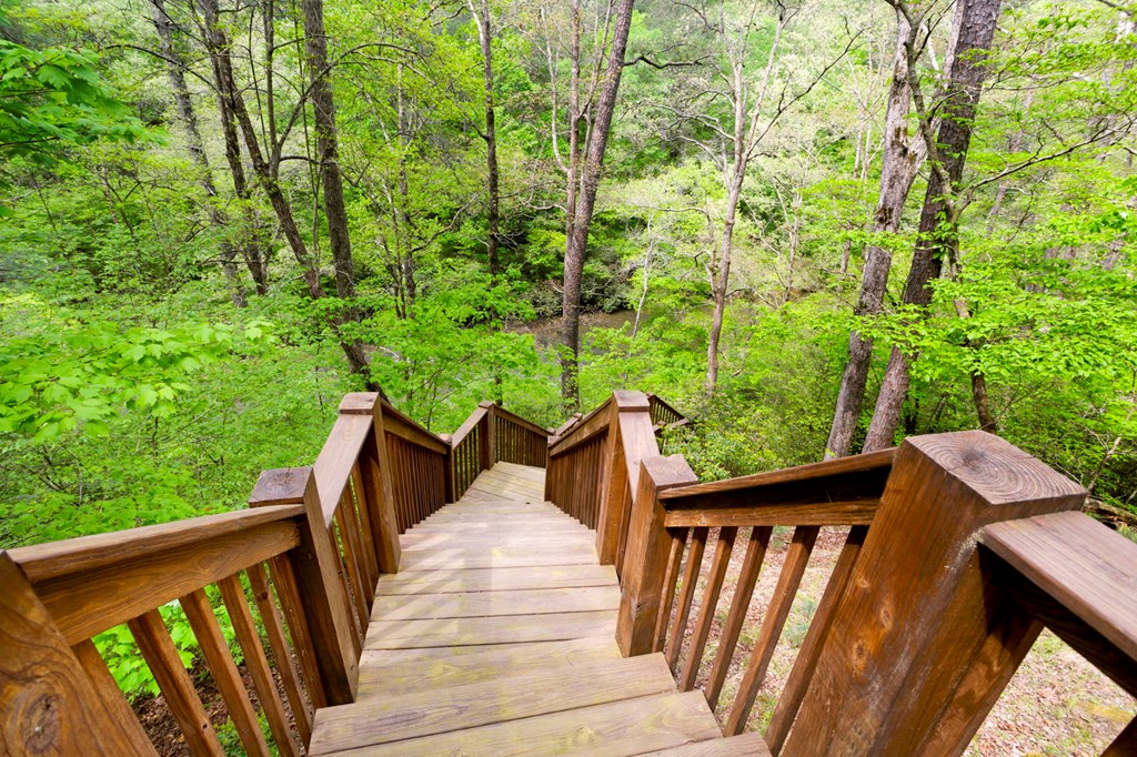 415277 Ellijay Residential