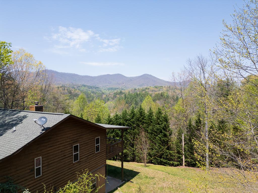 415281 Murphy 