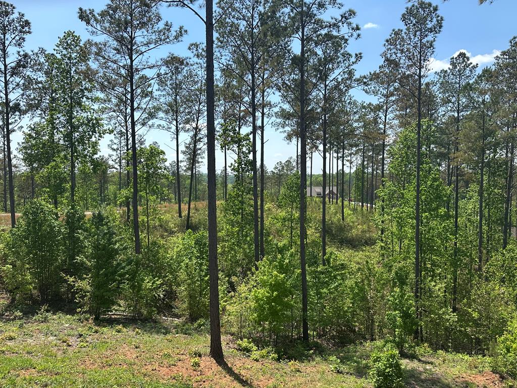 415282 Ellijay Residential