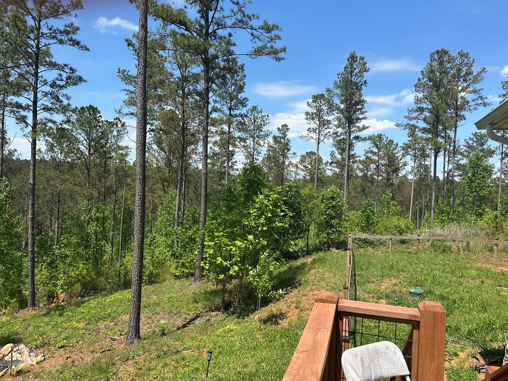 415282 Ellijay Residential