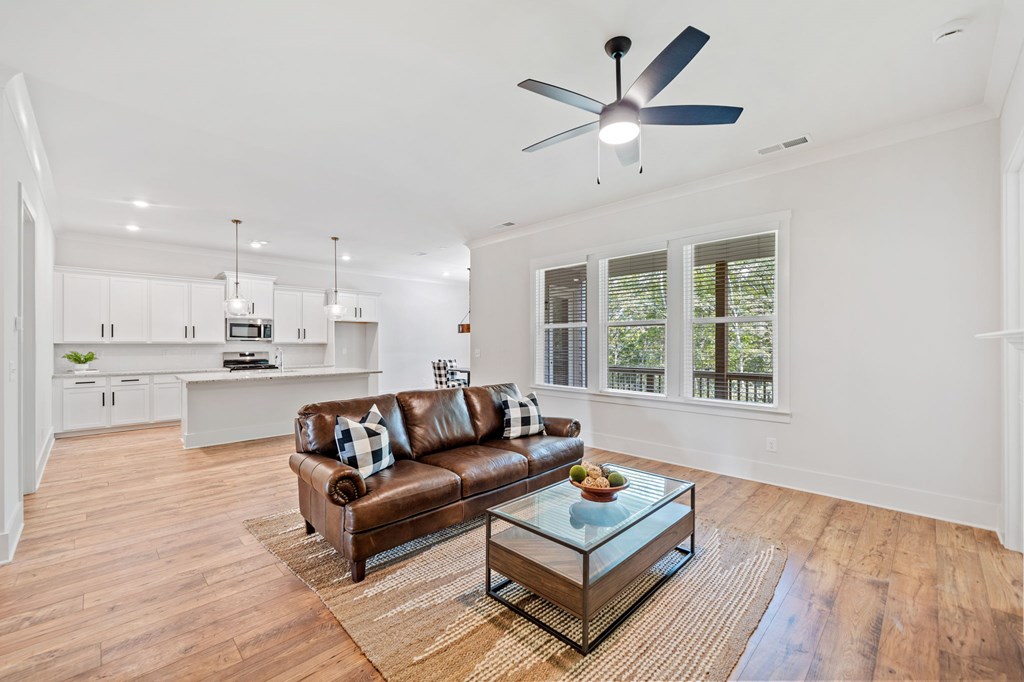 415290 Ellijay Residential