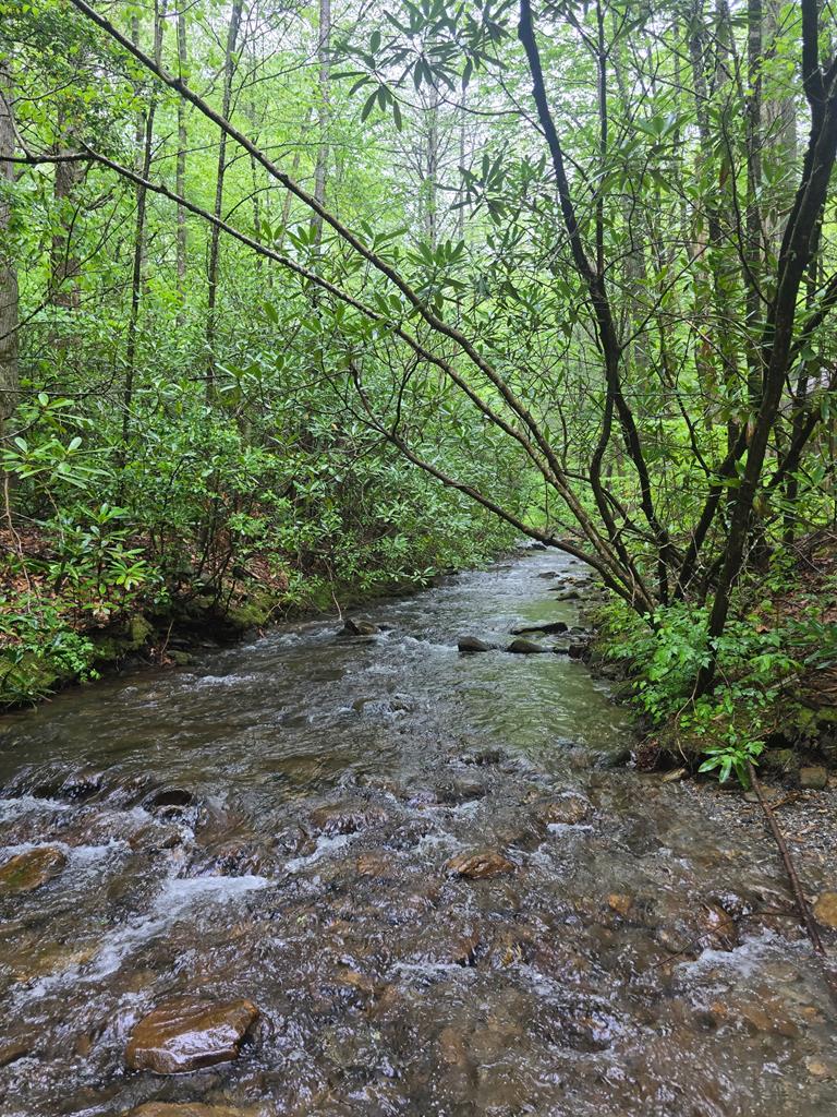 415292 Blairsville Residential