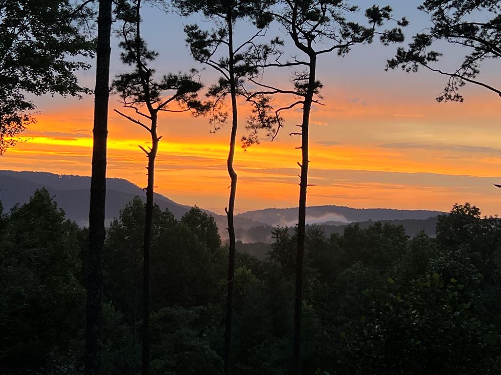 415302 Blue Ridge Residential