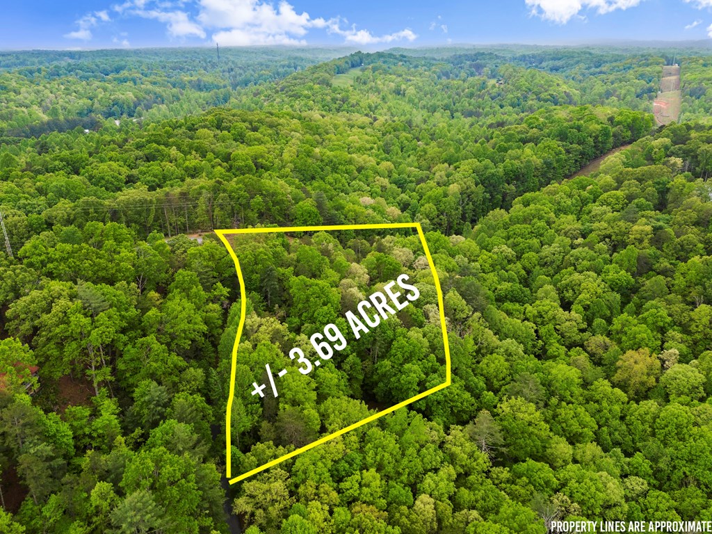 415334 Dahlonega Residential