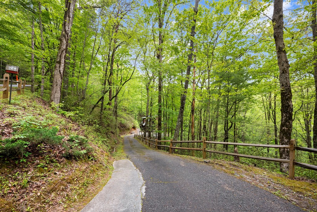 415334 Dahlonega Residential