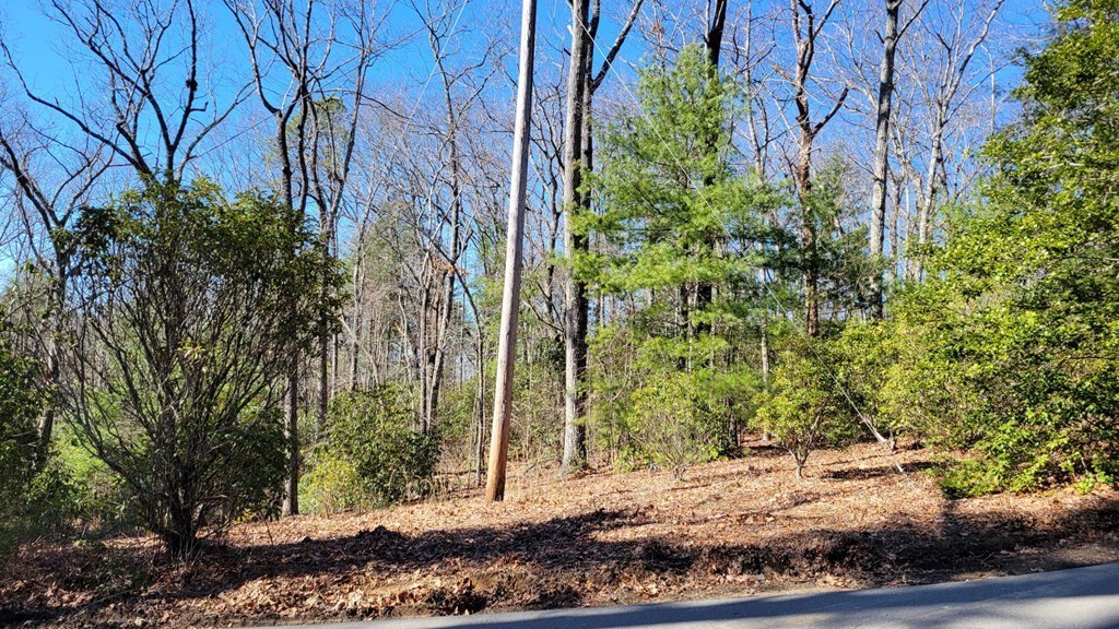 415337 Murphy Residential