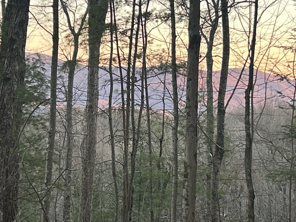 415338 Blue Ridge Residential