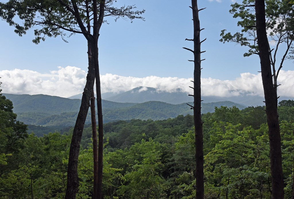 415338 Blue Ridge Residential