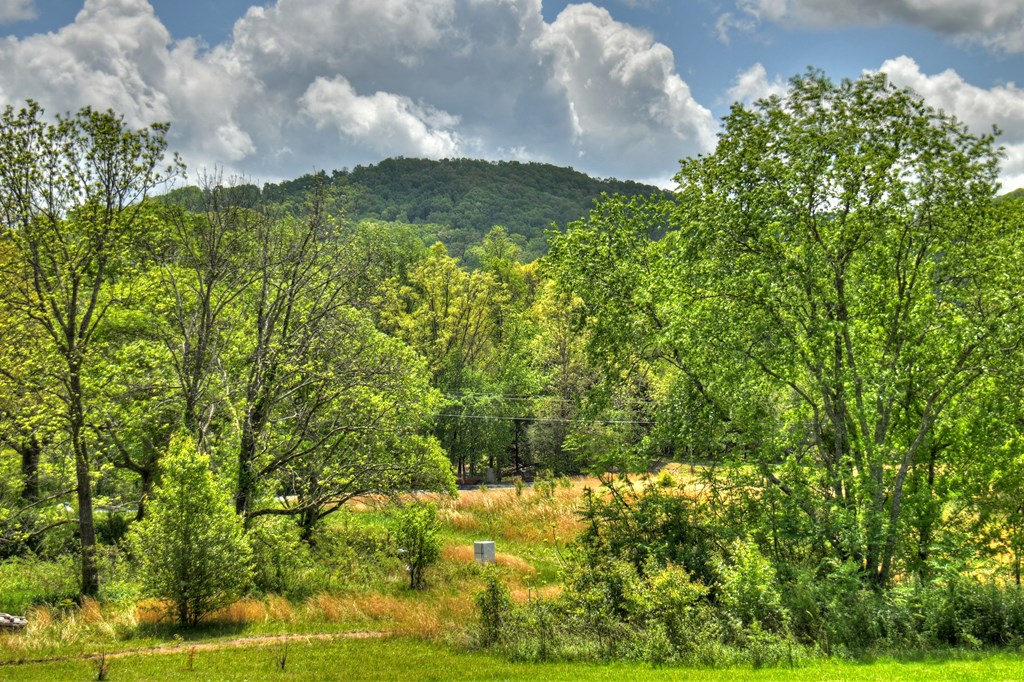 415340 Hayesville Residential