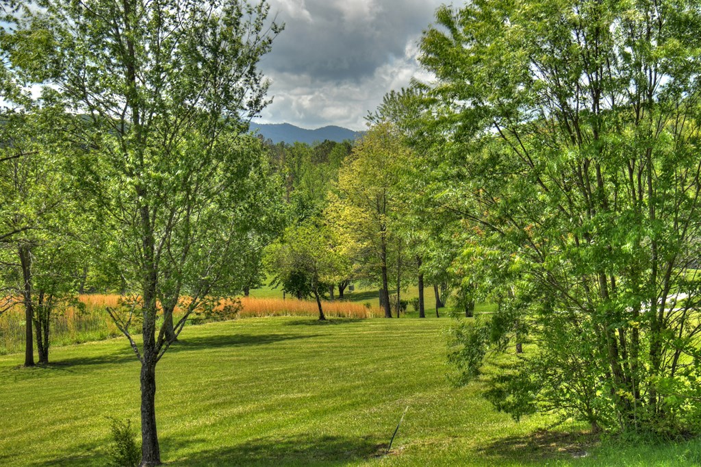 415340 Hayesville Residential