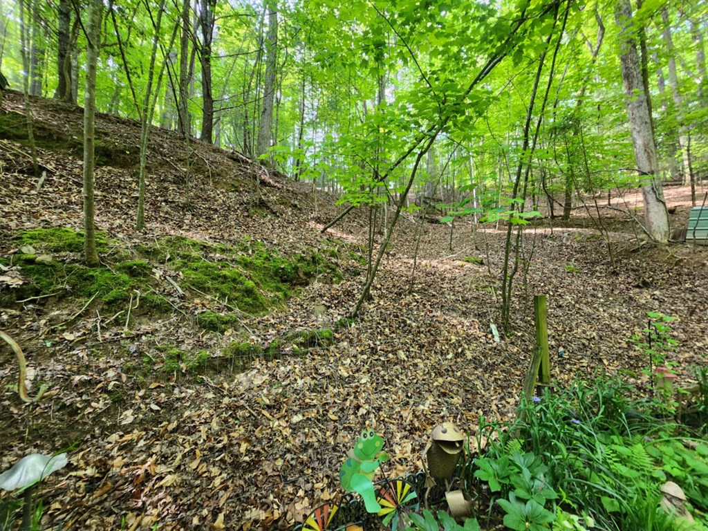 415344 Ellijay Residential