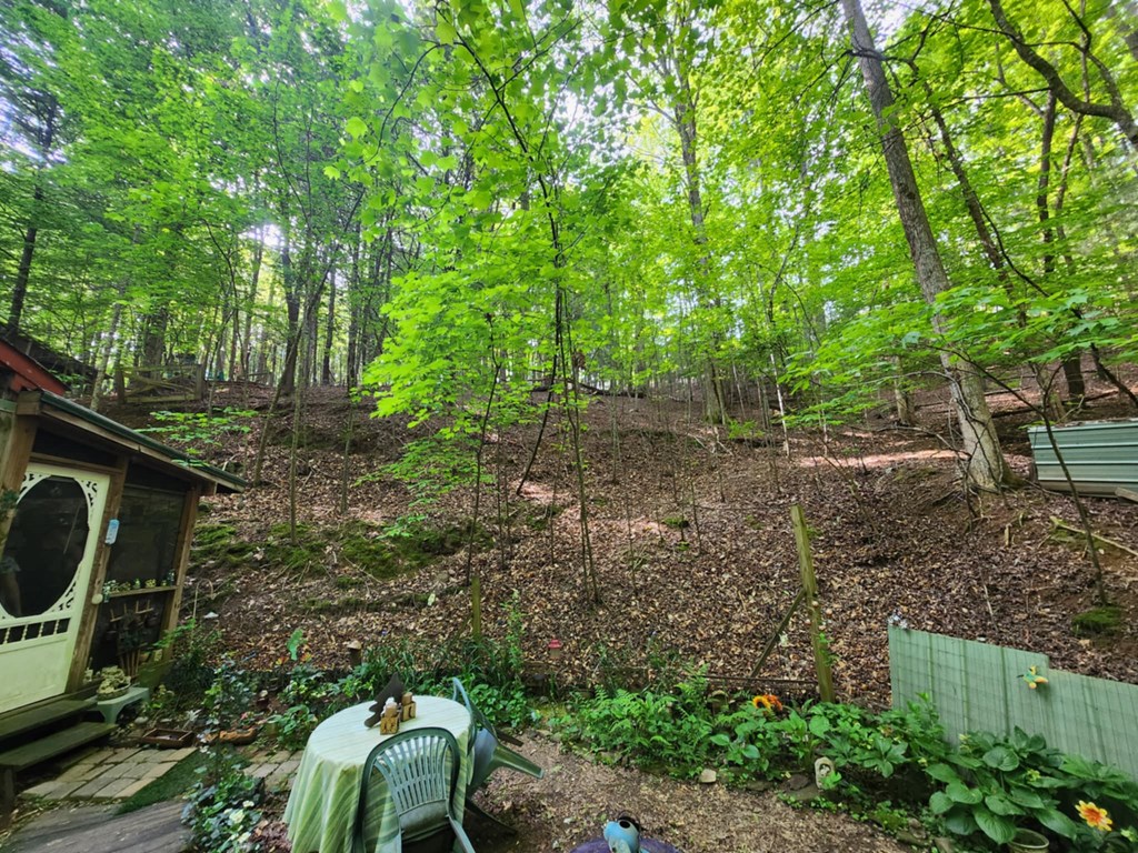 415344 Ellijay Residential