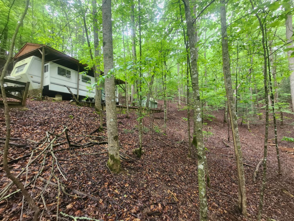 415344 Ellijay Residential