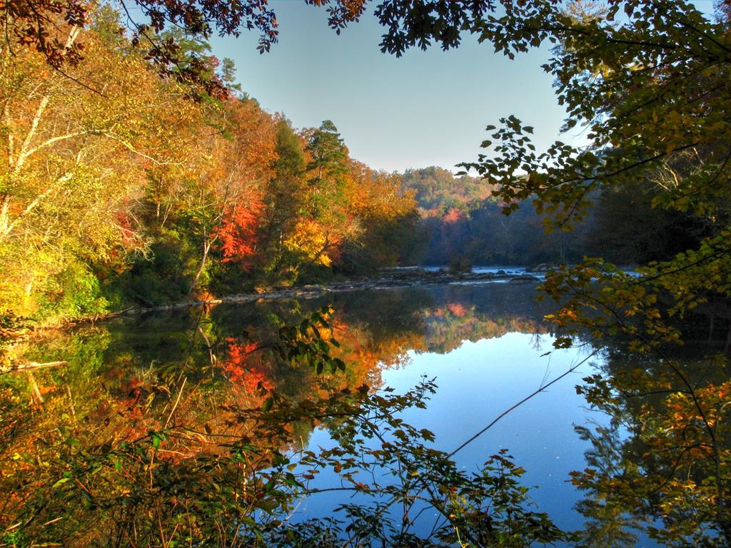 415344 Ellijay Residential