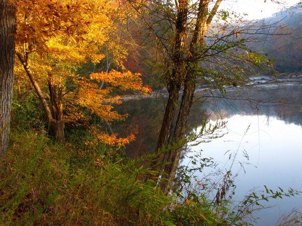 415344 Ellijay Residential