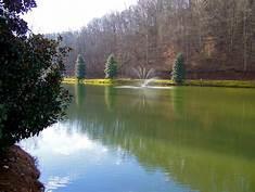 415344 Ellijay Residential
