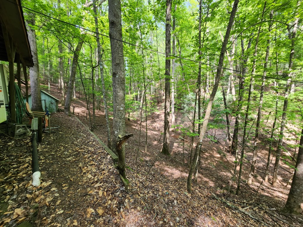 415344 Ellijay Residential