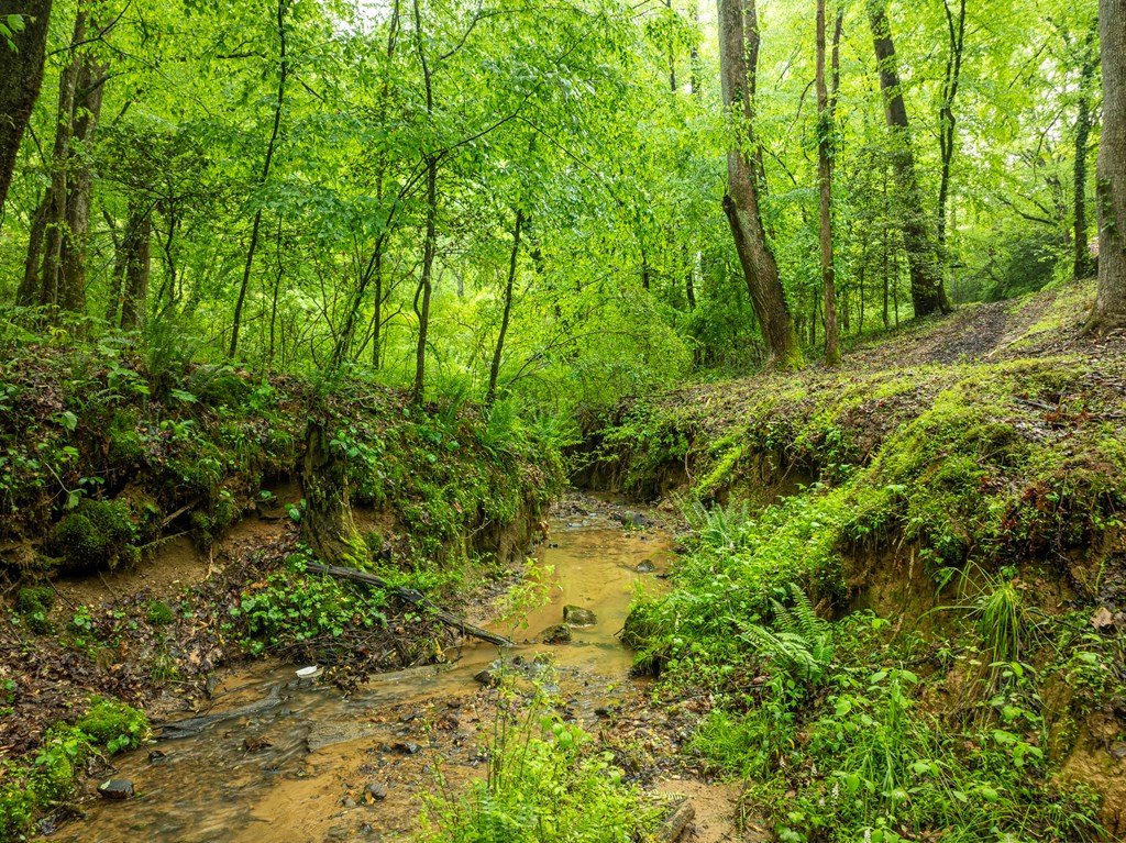 415346 Ellijay Residential