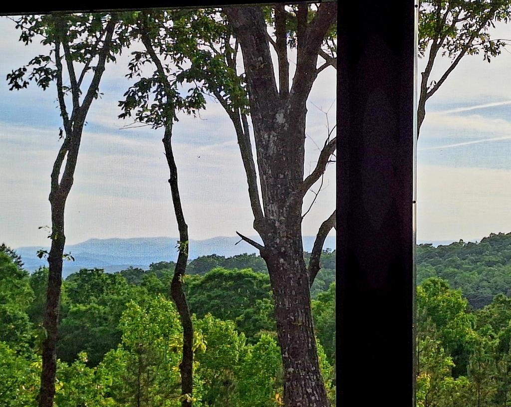 415350 Morganton Residential