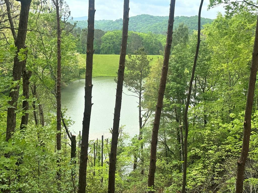 415351 Ellijay Residential