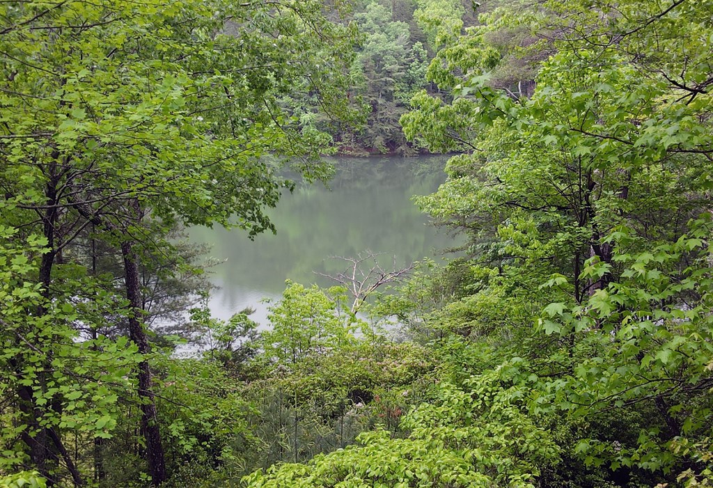 415354 Ellijay Residential