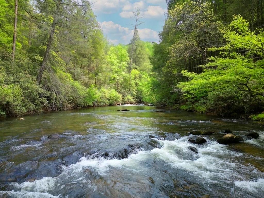 415387 Ellijay Residential