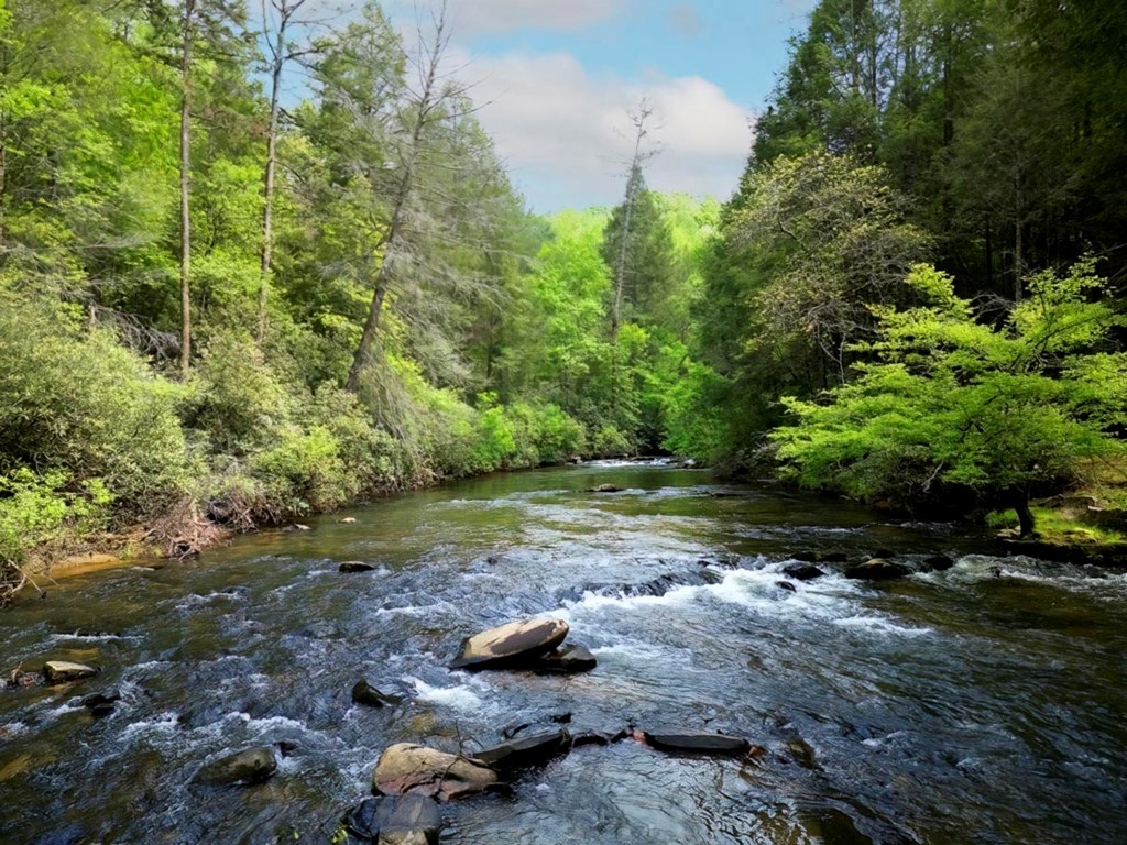 415387 Ellijay Residential