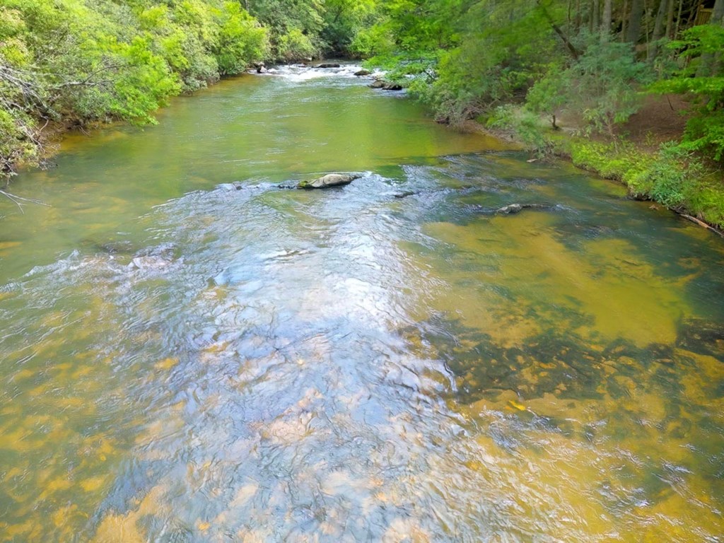 415387 Ellijay Residential