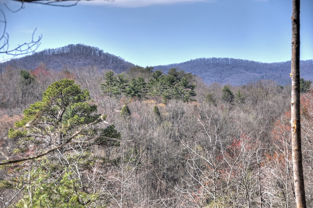 415408 Ellijay Residential