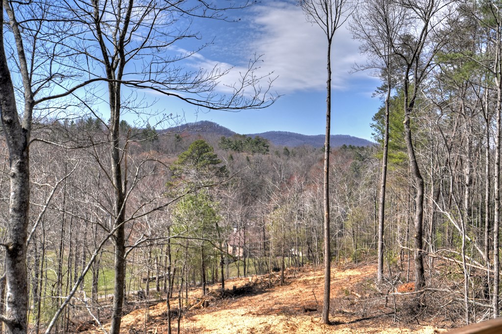 415408 Ellijay Residential
