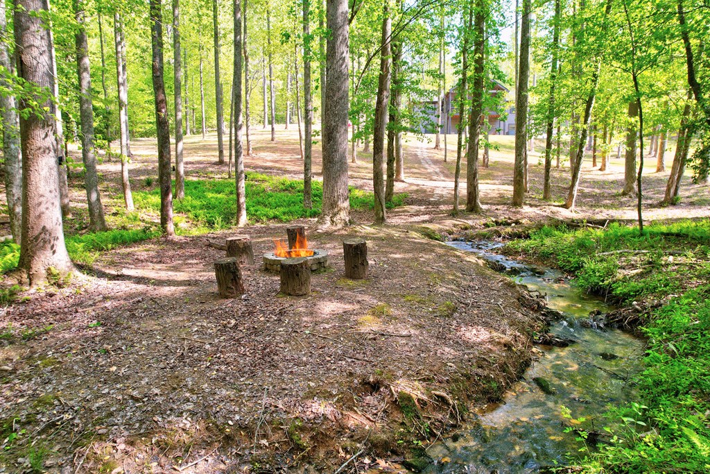415416 Blue Ridge Residential