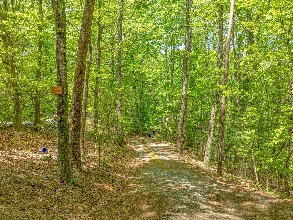 415424 Blue Ridge Residential