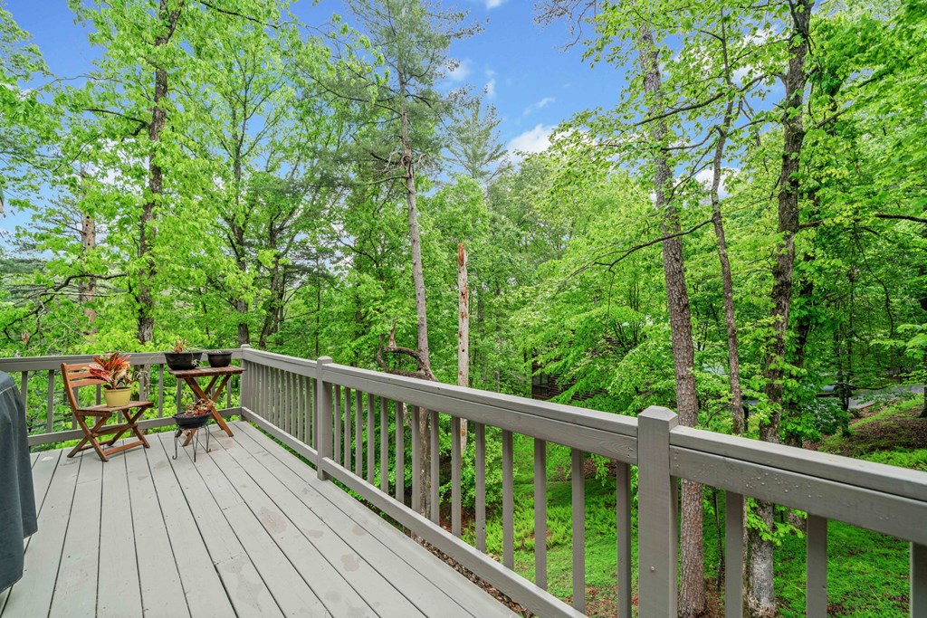 415429 Ellijay Residential