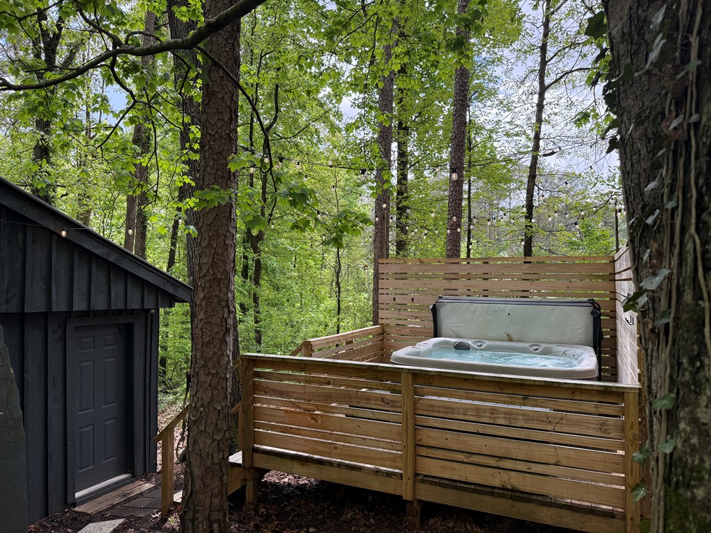 415501 Ellijay Residential