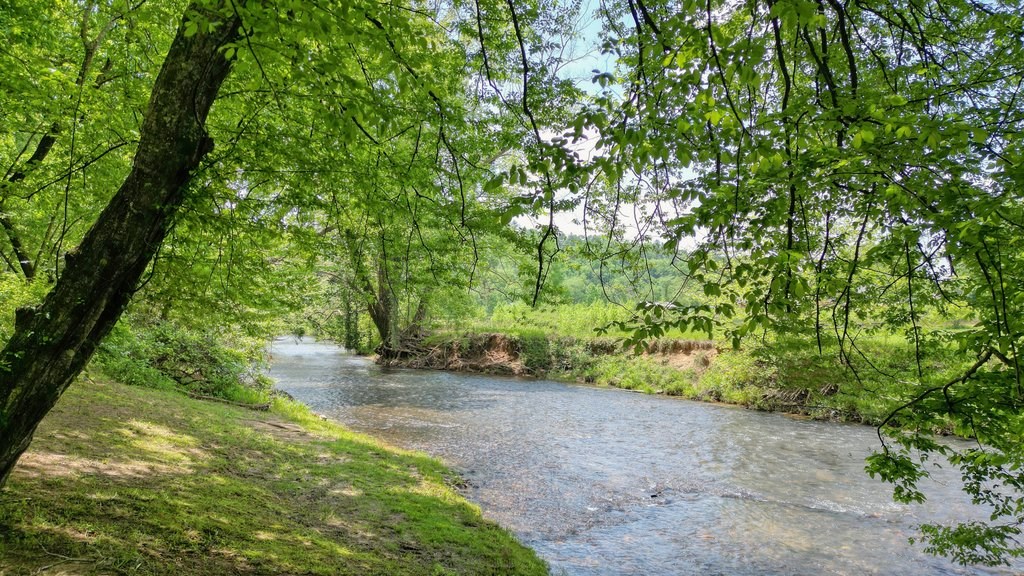 415510 Ellijay Residential