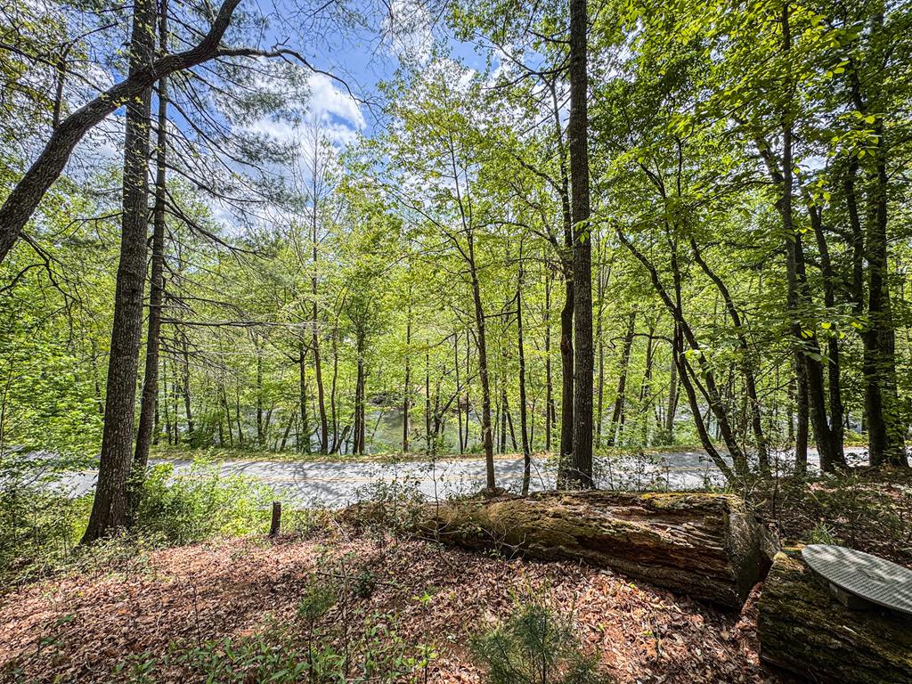 415518 Hayesville Residential