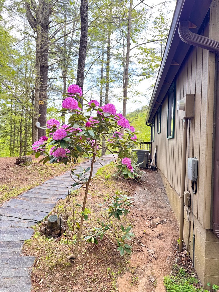 415518 Hayesville Residential