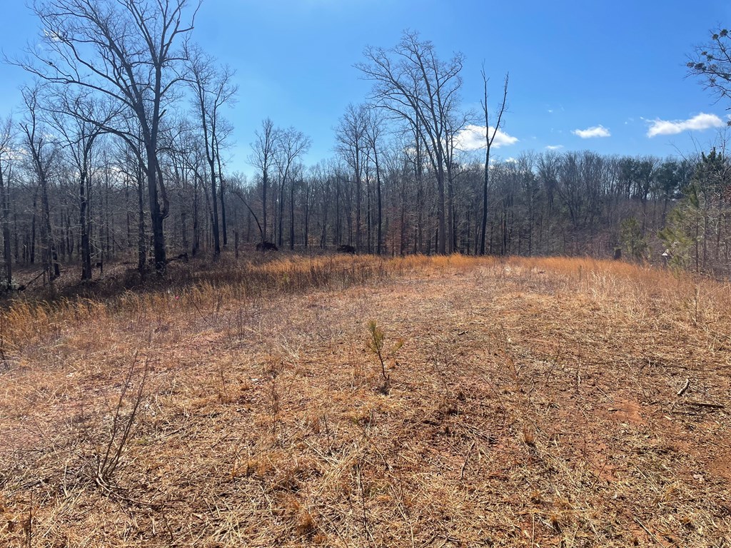 415552 Ellijay Residential