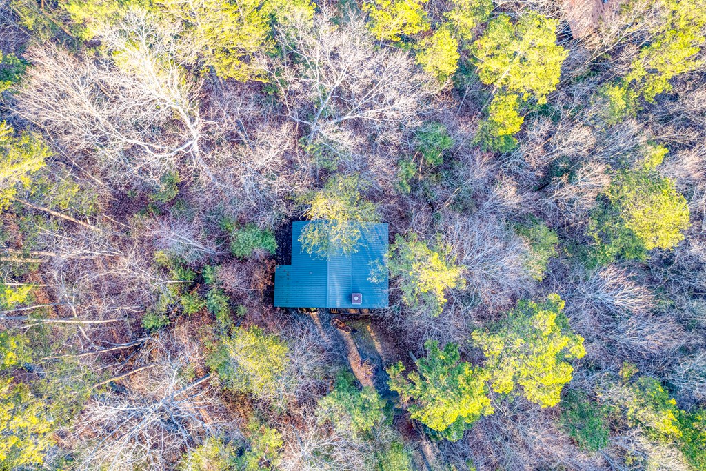 415560 Blue Ridge Residential