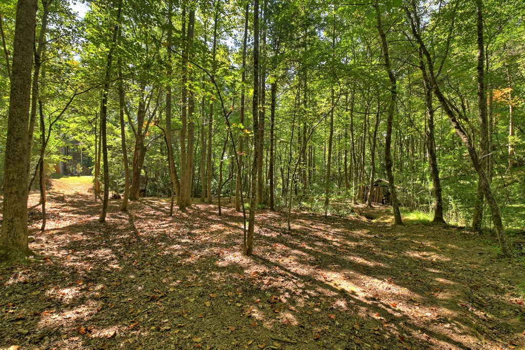 415568 Morganton Residential
