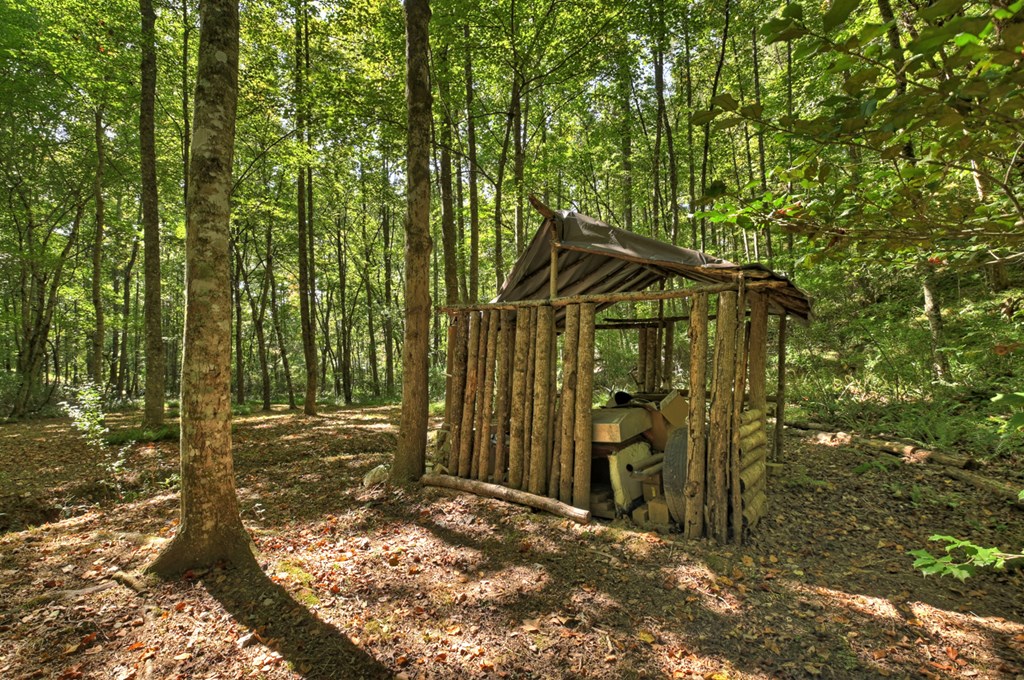 415568 Morganton Residential