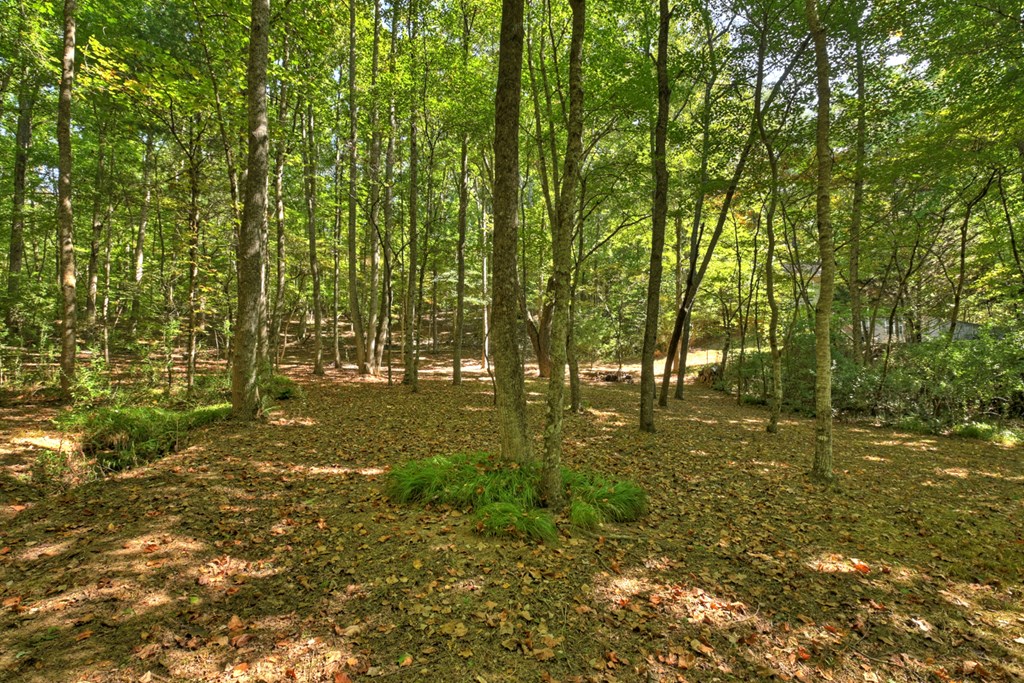 415568 Morganton Residential