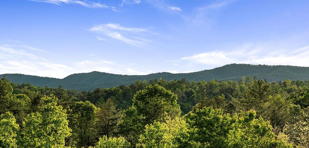 415588 Ellijay Residential