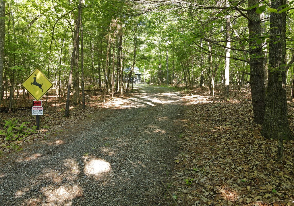 415589 Ellijay Residential