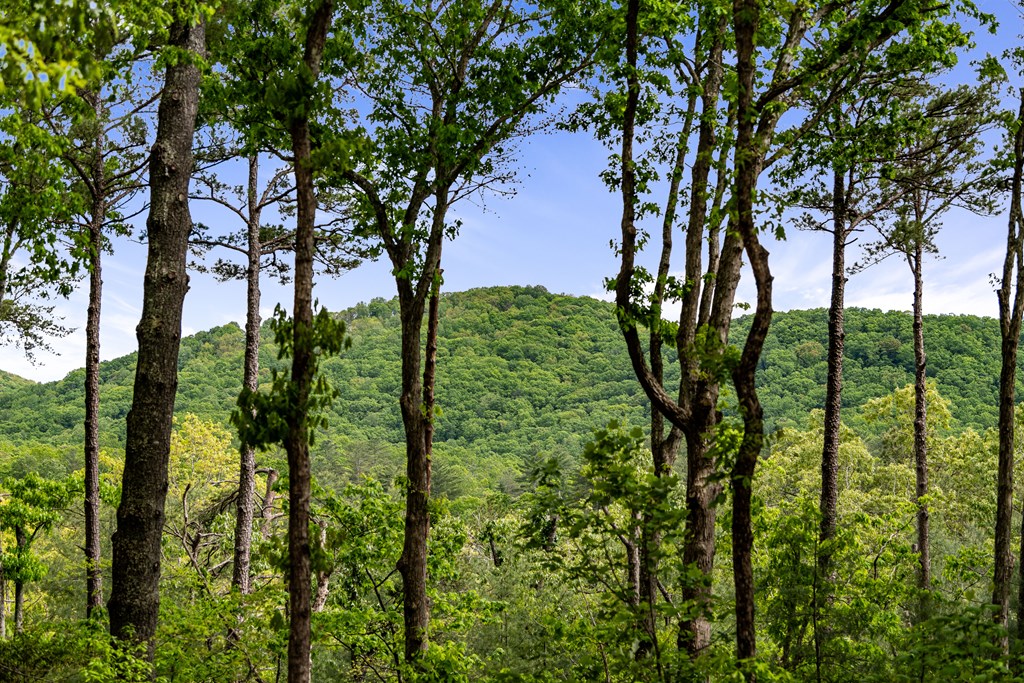 415593 Ellijay Residential