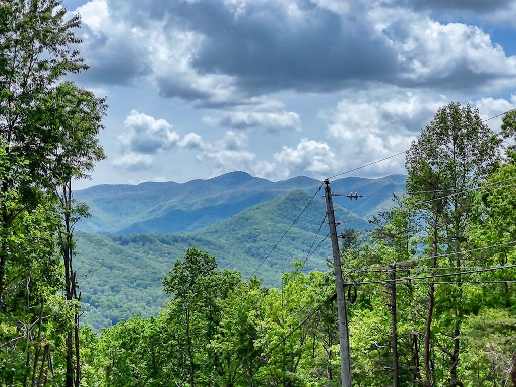 415594 Hiawassee Residential